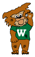 Wildcat with Bandage